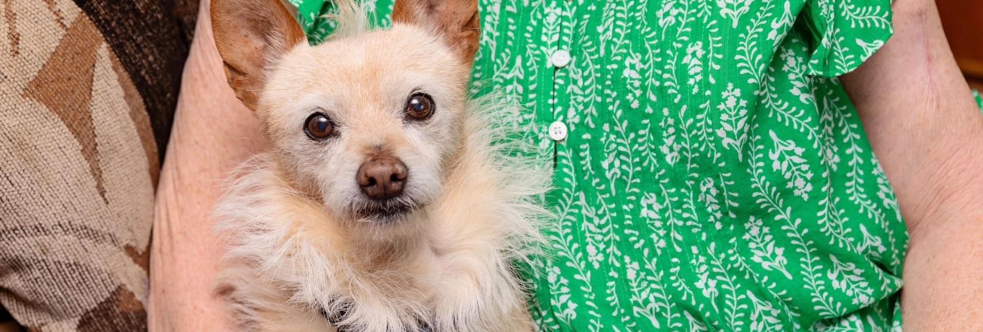 Older woman in green shirt sitting with tan-colored dog looking at camera
